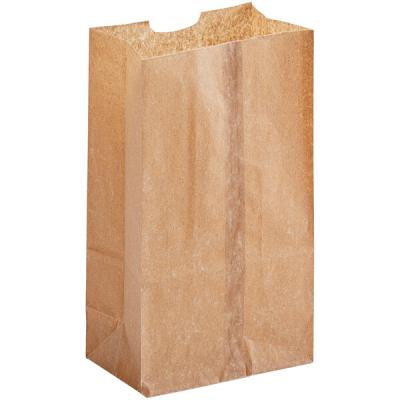 Kraft Brown SOS Paper Bags
