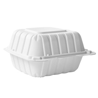 CIAO! 6"X6"X3" Clamshell 1 Compartment 100% Compostable Ecofriendly PFAS Free Unbleached Bagasse Natural White (250/case)